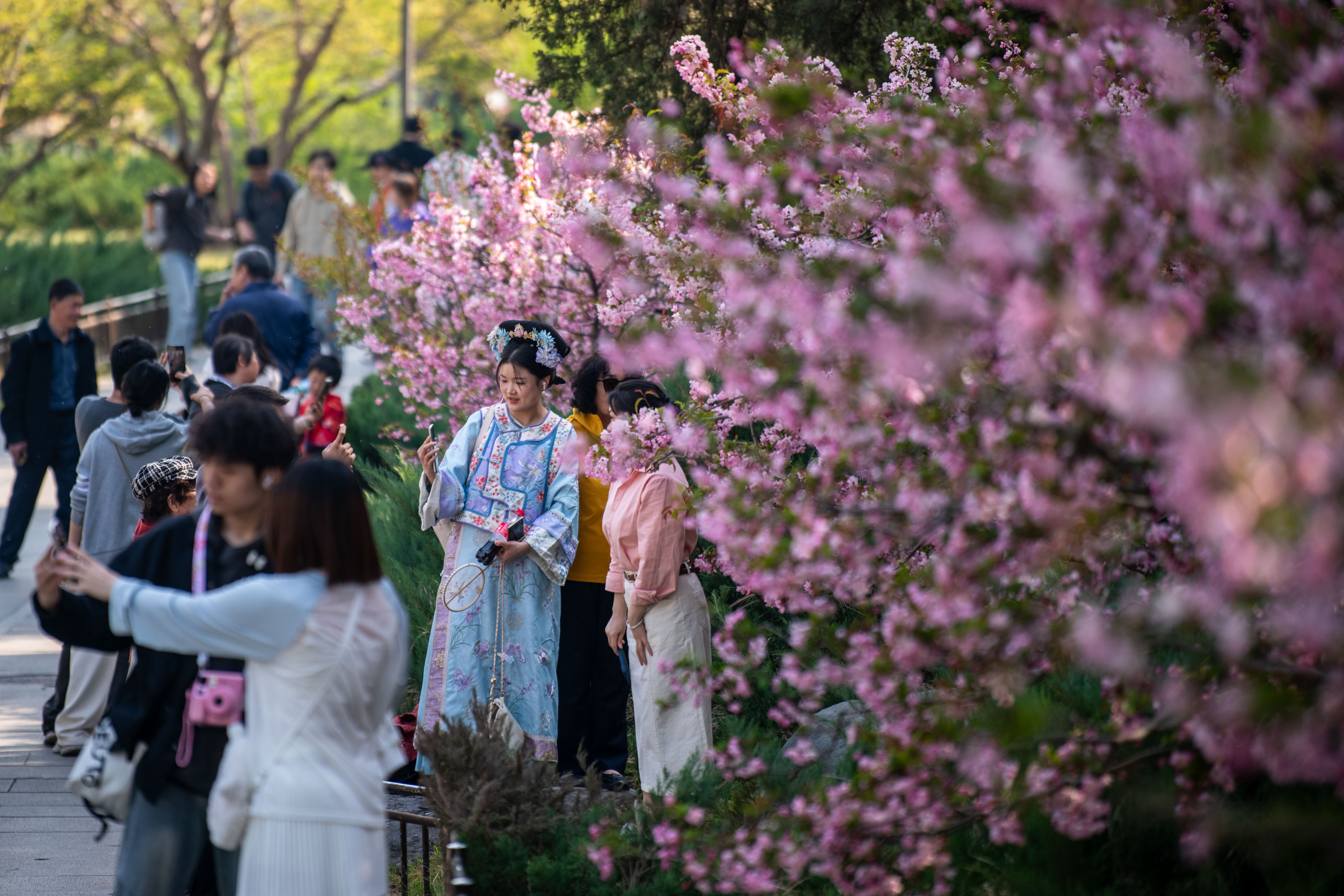 2025年4月6日，北京北海公园，满园春色醉游人。人民网记者 翁奇羽摄